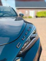 Cupra Formentor 1.5 TSI 110kW DSG  - Cupra Formentor in Hannover