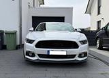 Ford Mustang 5.0 V8 Black Shadow/ 1 Hd./DE/Scheckheft - Ford Mustang Gebrauchtwagen in Braunschweig