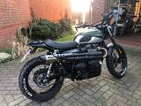 Triumph Street Scrambler 900 - TRIUMPH STREET SCRAMBLER