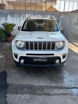 Jeep Renegade Jeep Renegade 1.0 GPL 2019 - Jeep Renegade: Limousine