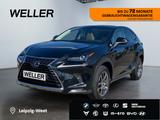 Lexus NX 300h Business Line *Bi-LED*Pano*RCam*SHZ*PDC* - Lexus: Rc