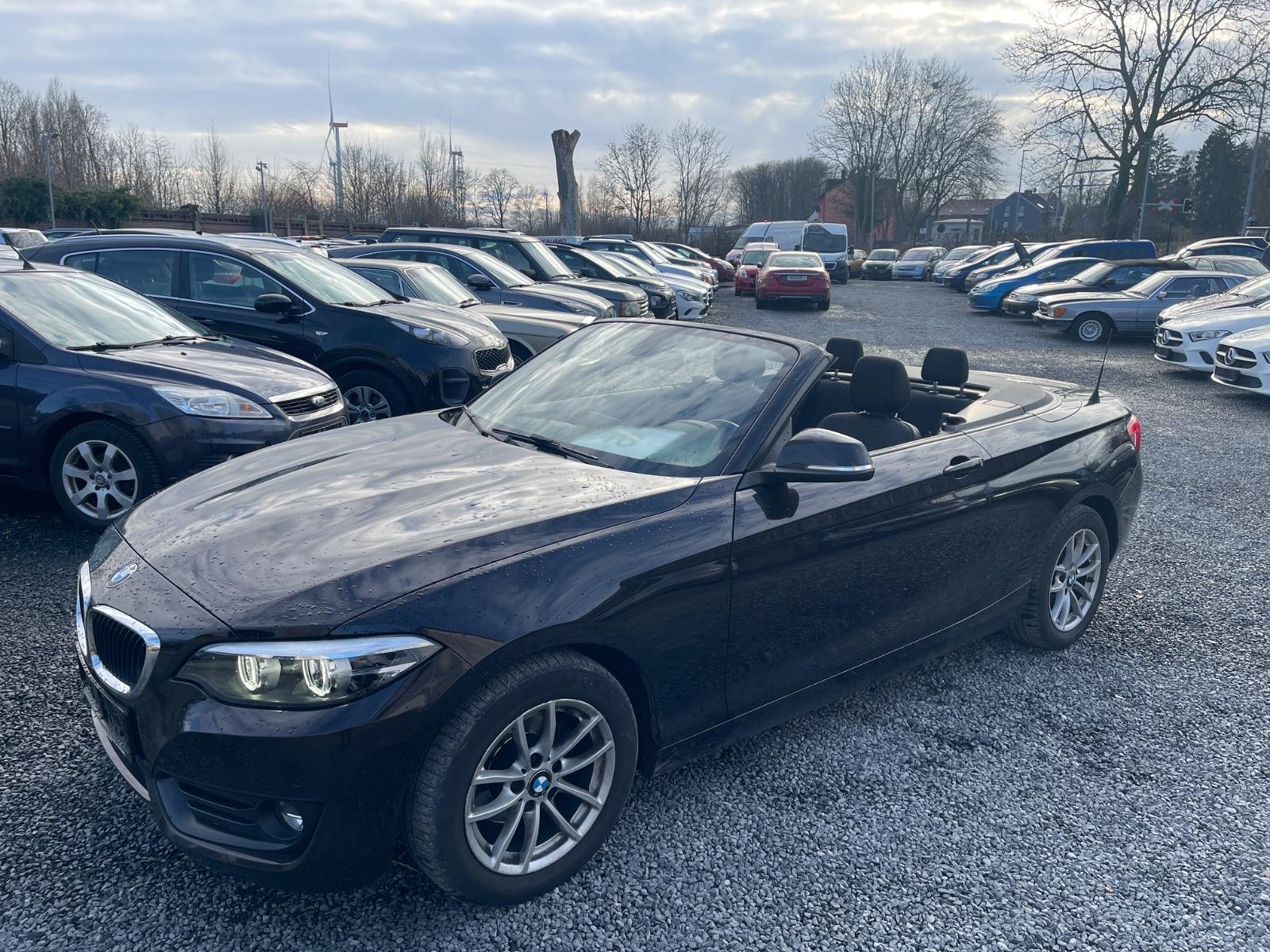BMW 218 2 Cabrio 218 i Advantage*TOP ZUSTAND*