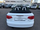 Audi A3 1.8 TFSI  Cabriolet*KLIMA*SHZ*LEDER*ALU*TOP* - Audi A3 aus 2009: Cabrio