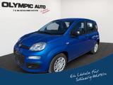 Fiat Panda Hybrid 1.0 GSE KLIMAANLAGE PARKSENSOREN - Fiat Panda in Kiel