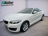 BMW 218 i Cabrio Aut. Sport Line+HIFI+Lenkradhzg+DAB