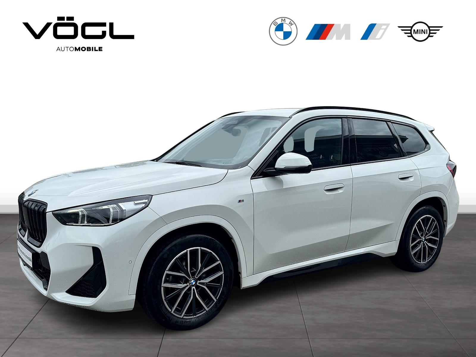 BMW X1 sDrive18d M Sportpaket Driv.Ass. AHK