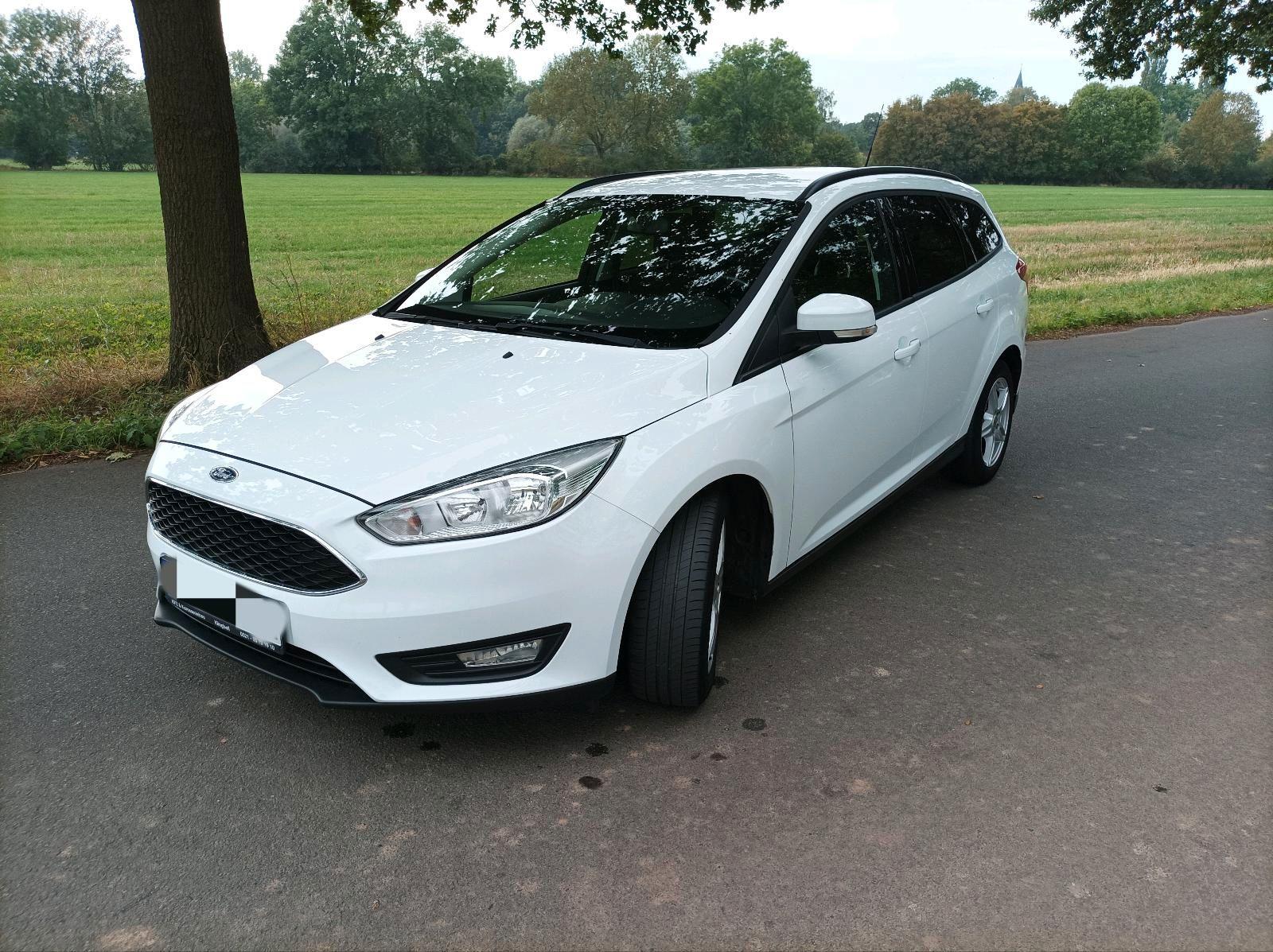 Ford Focus 2015 — rear view