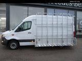 Mercedes-Benz Sprinter 317 CDI RWD L2H2 Navi/Klima/ MBUX CAM - Abrollkipper 6x4