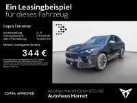 Cupra Terramar - Vorschau Bild 2