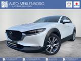 Mazda CX-30 2.0l "SELECTION" "DES-P" "PRE-P" M Hybrid - Mazda CX-30 mit Hybrid-Antrieb