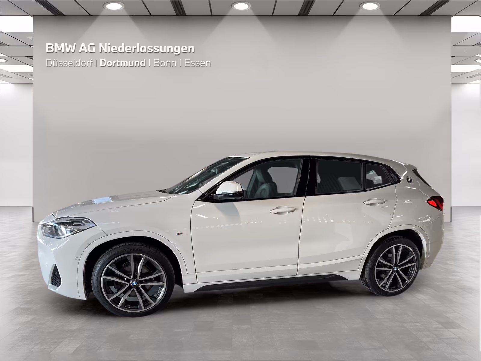 BMW X2 sDrive18i M Sport Navi Parkassist HiFi LED