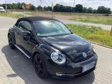Volkswagen Beetle 1.2 TSI BMT Design Cabriolet Design - VW Beetle von privat