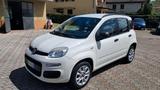 Fiat Panda 0.9 TwinAir Turbo Natural Power Easy - Fiat Panda mit CNG-Antrieb