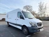 Mercedes-Benz Sprinter Maxi Lang 516 CDI T... - Mercedes-Benz Sprinter: Maxi Lang