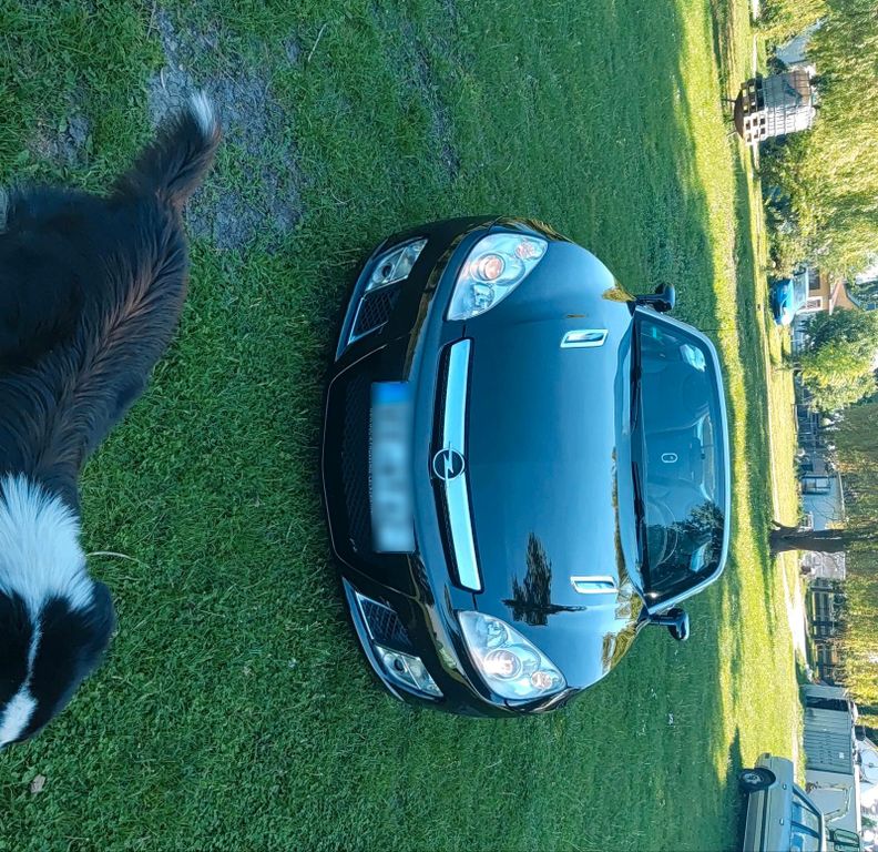 Image of Opel GT