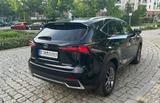Lexus NX 300h Launch Edition scheckheftgepflegt - Lexus: Sc