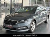 Skoda Superb Combi Scout 4x4/AUT/NAV/SHZ/R-KAM/PDC - Skoda: Combi Scout