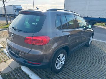Volkswagen Tiguan - 8