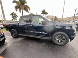 Ford F 150 Lightning Flash grosse Batterie in Hamburg - Ford F 150: Lightning