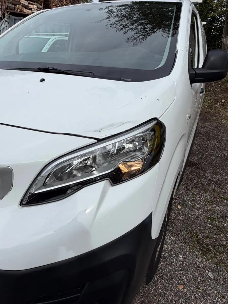 Peugeot Expert Kasten Pro L2