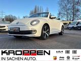 Volkswagen Beetle Cabrio Allstar AT SHZ Xenon M+S-Allw. Kam - Volkswagen Beetle in Bochum