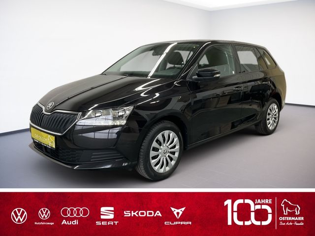 Skoda Fabia AMBITION 1.0TSI 110PS NAVI.GRA.SHZ.DAB+