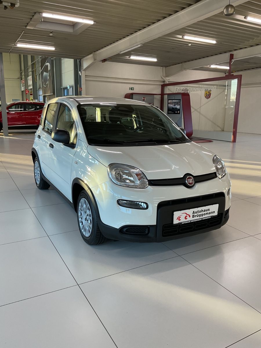 Fahrzeugabbildung Fiat Panda Hybrid 1.0 GSE