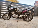 Honda Motorrad Honda CB500 PC26, auch A2 - HONDA PC26 500 CB