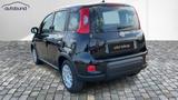 Fiat Panda 1,0  Hybrid (MHEV) Pandina Base NBA PDC  - Fiat Panda Gebrauchtwagen in Bielefeld