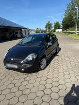 Fiat Punto - Fiat Punto Gebrauchtwagen in Hamburg