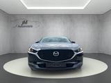 Mazda CX-30 LED Kamera Klima - Mazda CX-3 aus 2021