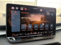 Cupra Terramar VZ 2.0 TSI DSG 4Drive PANO AHK 5J GAR bei Autohaus Landmann & Maier OHG