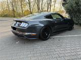 Ford Mustang 5.0 Ti-VCT V8 GT Recaro Sitze - Ford Mustang Gebrauchtwagen in Mönchengladbach