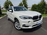 BMW Bmw X5 sDrive25d Luxury MOTORE NUOVO - BMW X5: Motor