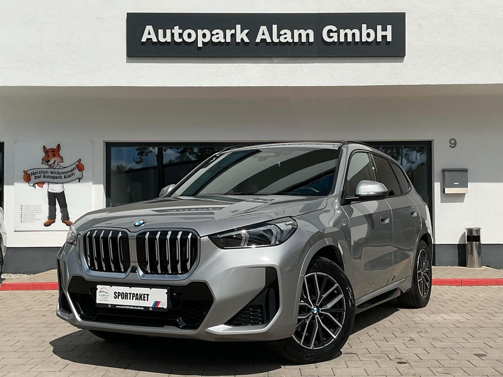 BMW X1 23d xDrive M Sport AHK Keyless ViCo 360°-Cam