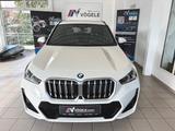 BMW X1 sDrive20i M Sportpaket AHK PAN Head UP