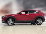 Mazda CX-30 6AG SELECTION DES-P ACT-P *360° *BOSE *LHZ - Mazda CX-30 in Duisburg