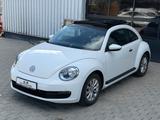 Volkswagen Beetle Lim. 1.2TSI 105PS/PANO/KLIMA/TÜV AU Neu! - Volkswagen Beetle mit Benzin-Antrieb: Limousine