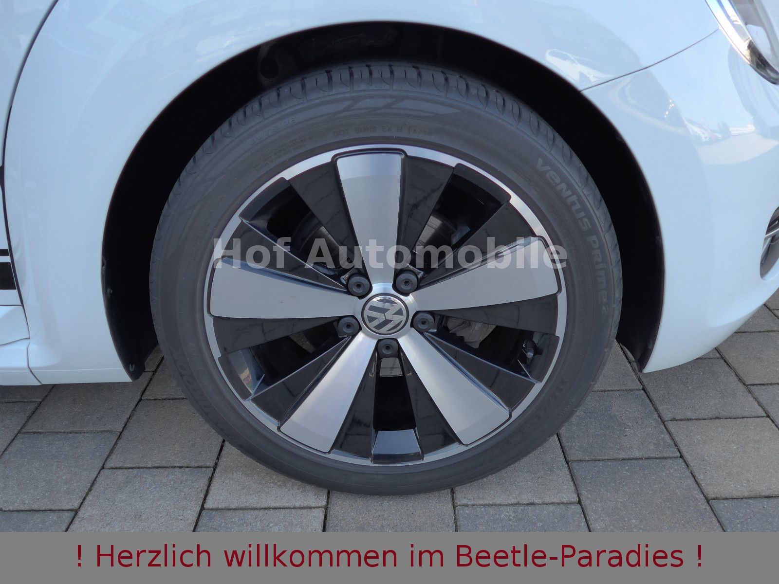 Volkswagen Beetle 1.2TSI Allstar Plus Xenon Leder Fender foto 10