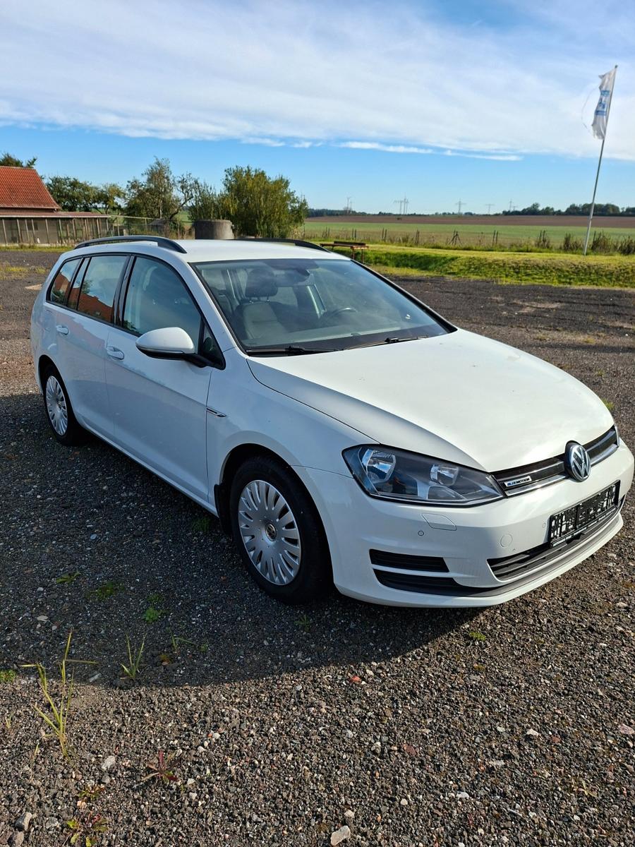 Volkswagen Golf 1.4 TGI DSG Trendline BlueMotion Variant