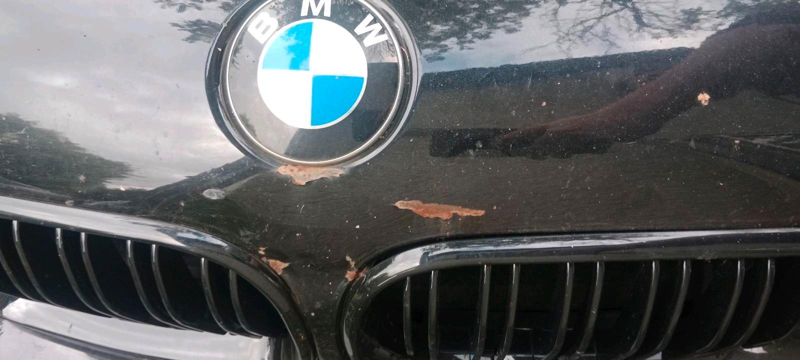BMW 316 2004 — photo 6