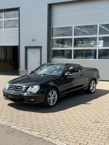 Mercedes-Benz Mercedes CLK 280 Cabrio Avantgarde | Leder... - Mercedes-Benz CLK 280: Cabrio