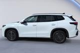 Volkswagen Tayron 1.5 eTSI eHybrid DSG Life AHK+KAMERA+NAVI - : mit Navigationssystem, mit Klimaanlage