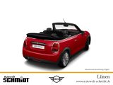 MINI Cooper Cabrio + GARANTIE - MINI in Dortmund