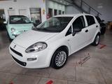 Fiat FIAT Punto 1.3 MJT 95CV S&S 5 porte Van 4 posti  - Fiat Punto mit Diesel-Antrieb: 1.9