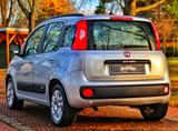 Fiat Panda*AUTOMATIK*KLIMA*NAVI*PDC*ERST 45 TKM* - Fiat Panda: 4.4