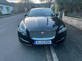 Jaguar XJ 3.0 D V6 Premium Luxury - Jaguar XJ mit Diesel-Antrieb: 6.3