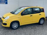 Fiat Panda 1.0 GSE Pandina Hybrid Dach schwarz - Fiat Panda Gebrauchtwagen in Aachen