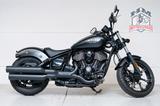 Indian Chief Dark Horse - Offers