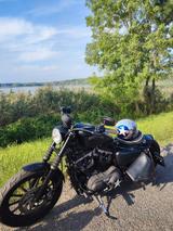 Harley-Davidson 883 XL N Iron  Matt Schwarz  - Offers